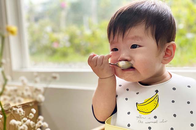 AMI 0-3歲導論課程