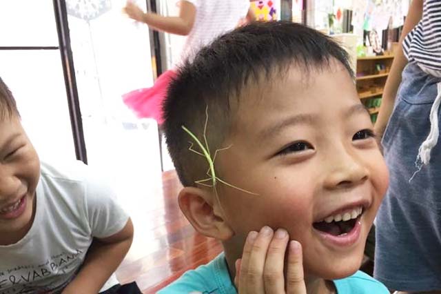 AMI 6-12歲主教課程