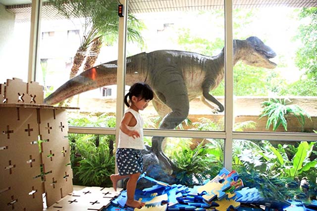 AMI 6-12歲導論課程